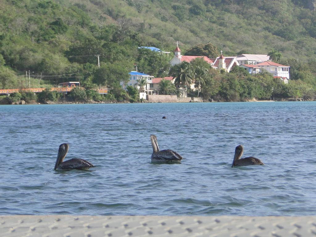 Posada Sunshine Paradise Providencia Island Luaran gambar