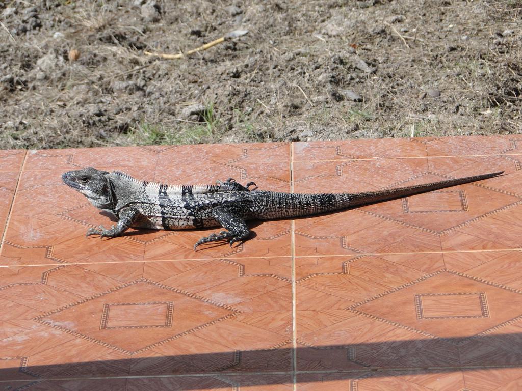 Posada Sunshine Paradise Providencia Island Luaran gambar