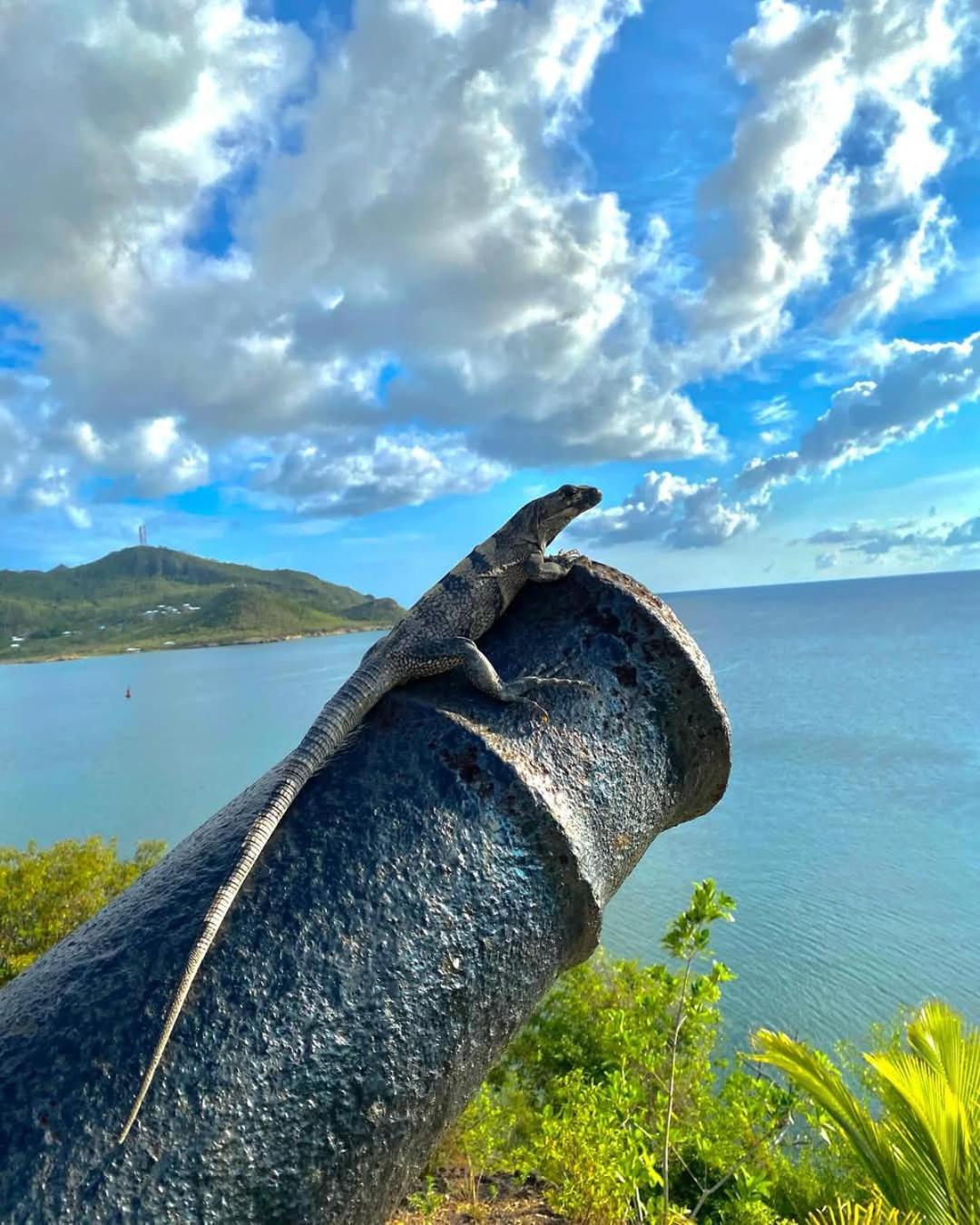 Posada Sunshine Paradise Providencia Island Luaran gambar