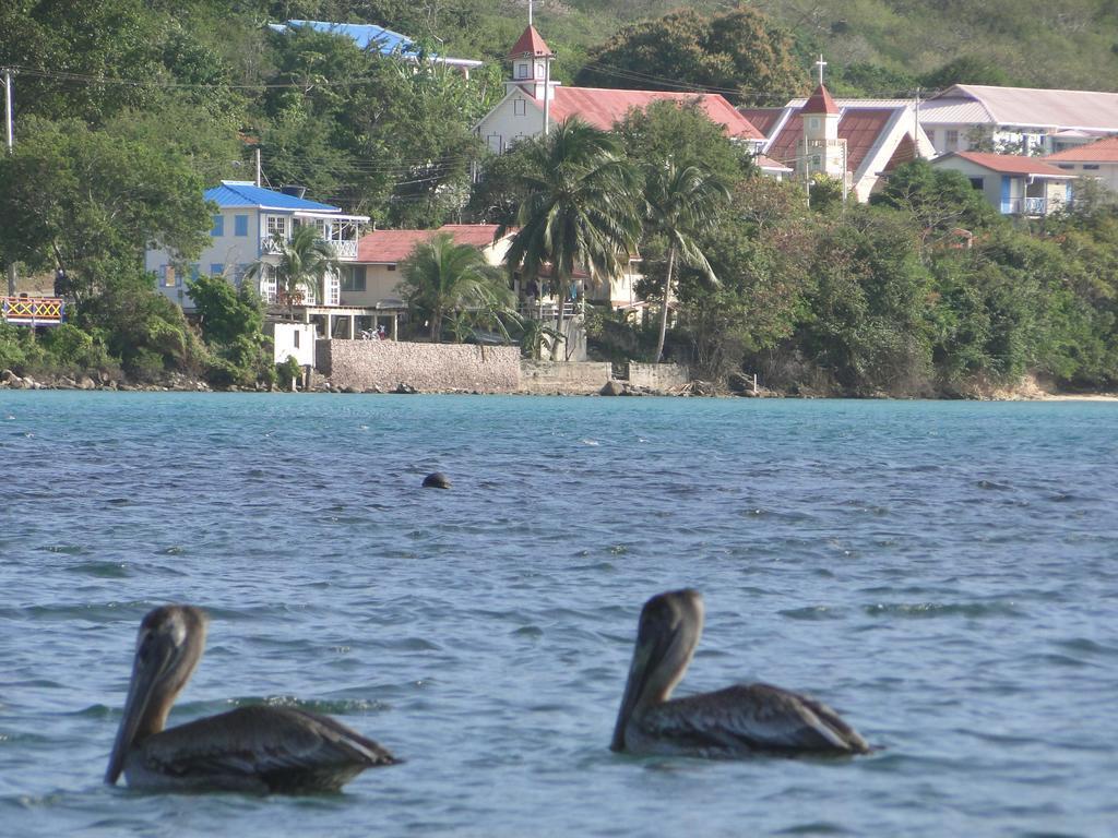 Posada Sunshine Paradise Providencia Island Luaran gambar