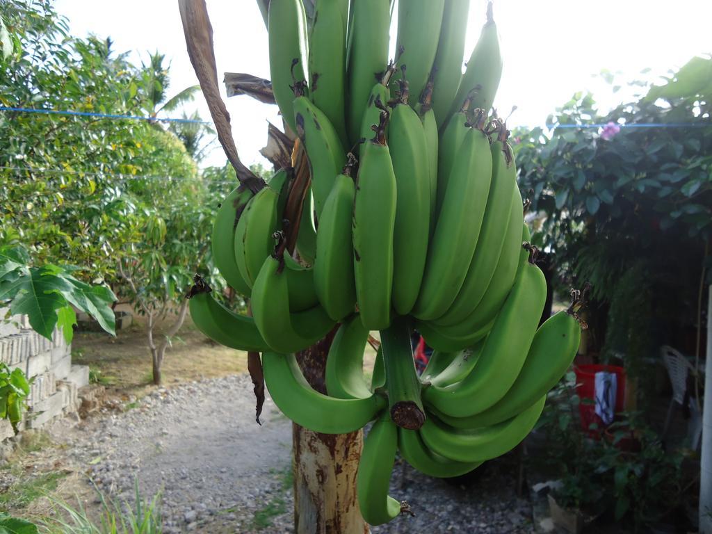 Posada Sunshine Paradise Providencia Island Luaran gambar