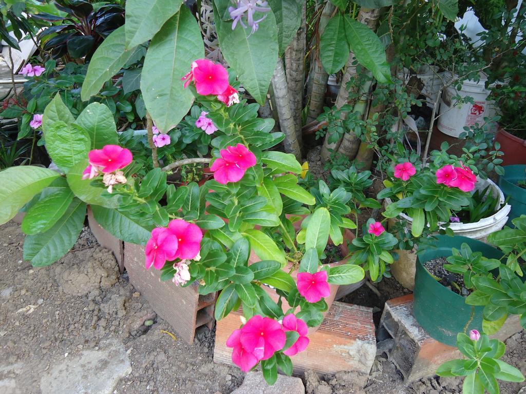 Posada Sunshine Paradise Providencia Island Luaran gambar