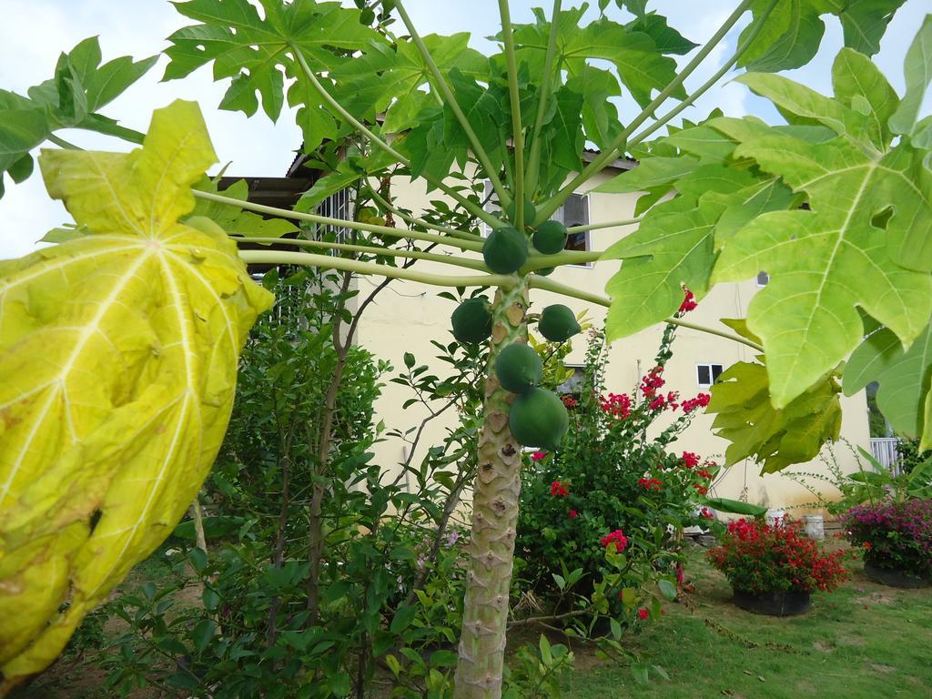 Posada Sunshine Paradise Providencia Island Luaran gambar