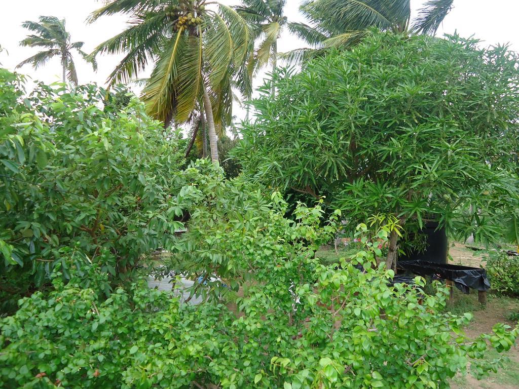 Posada Sunshine Paradise Providencia Island Luaran gambar