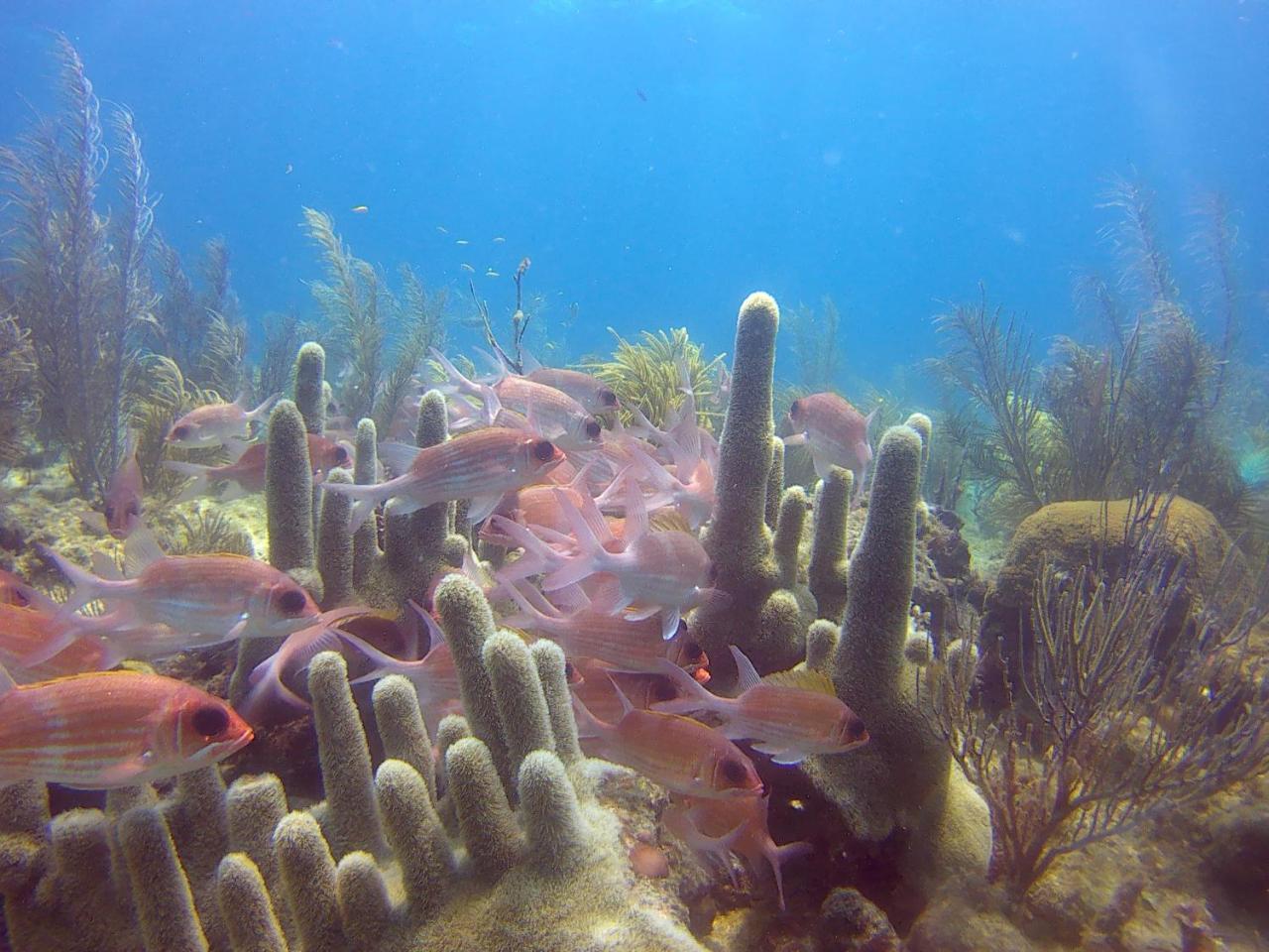 Posada Sunshine Paradise Providencia Island Luaran gambar